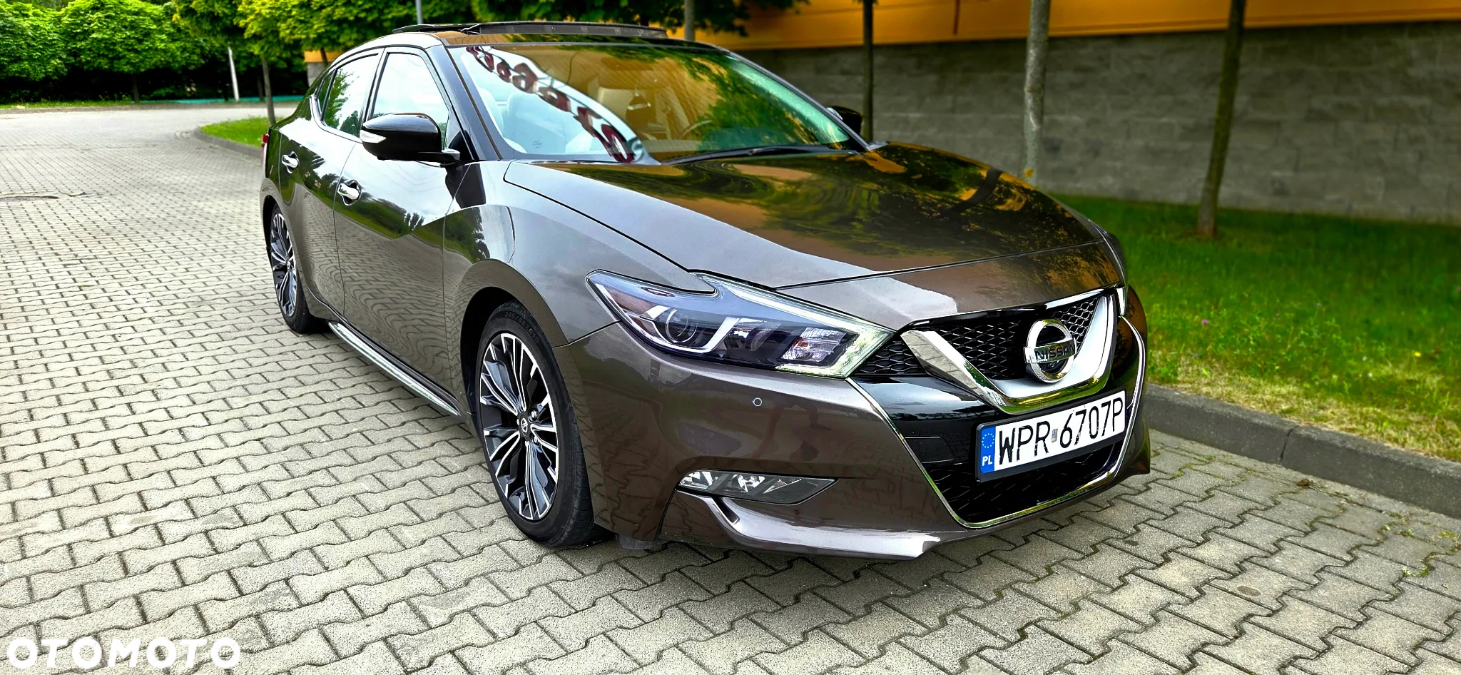 Nissan Maxima - 19