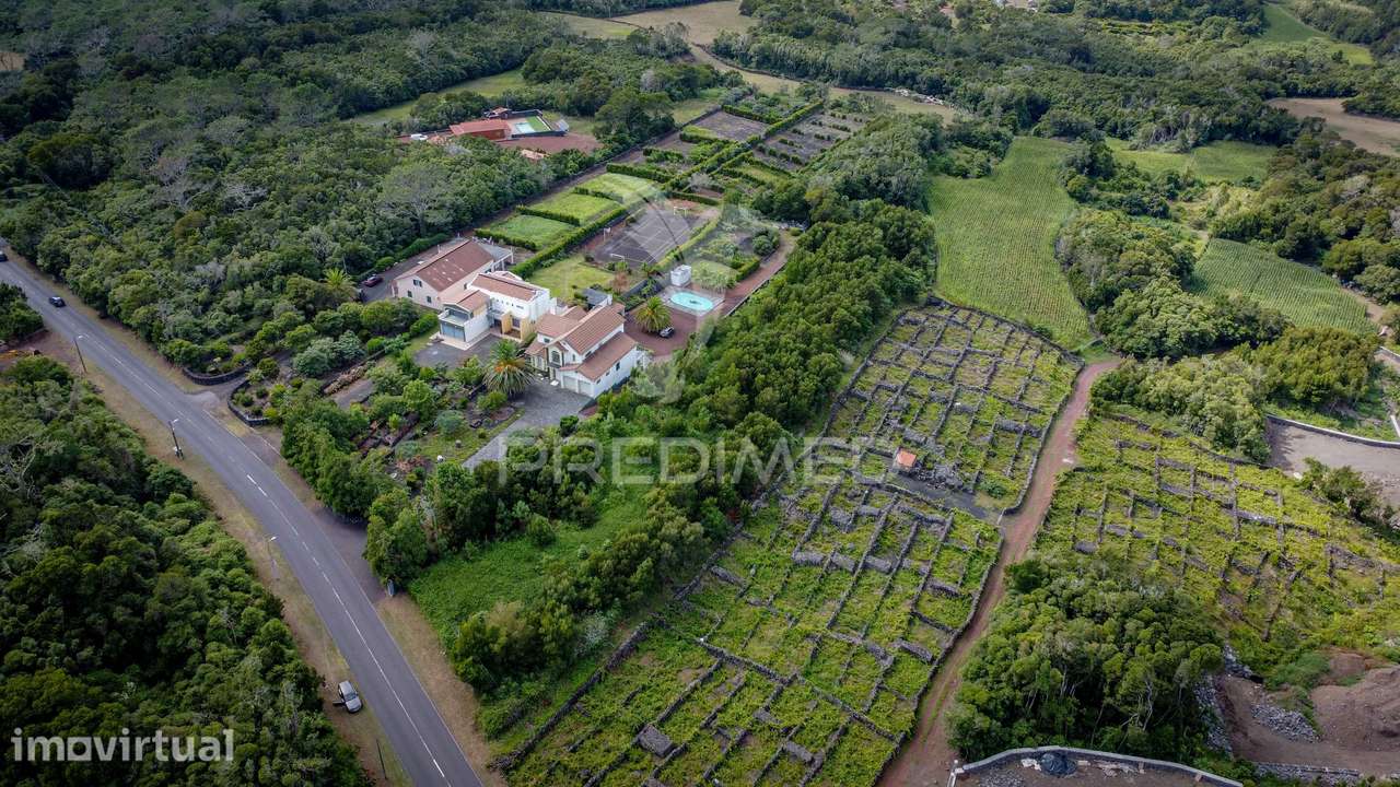 Lote para venda Madalena - Madalena do Pico - Grande imagem: 4/14