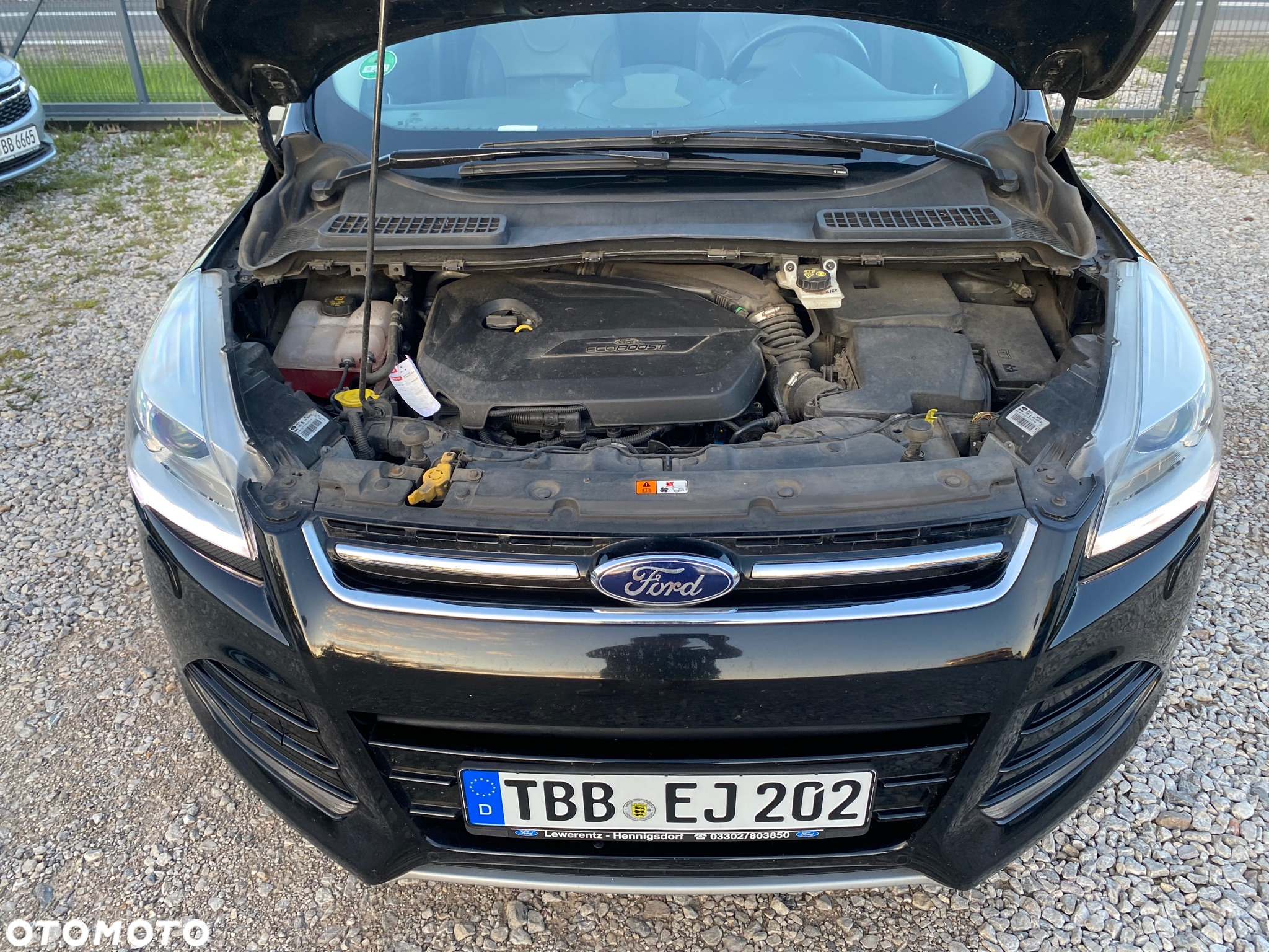 Ford Kuga 1.6 EcoBoost FWD Titanium Plus ASS - 19
