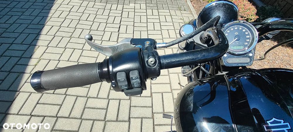 Harley-Davidson Softail Blackline - 10
