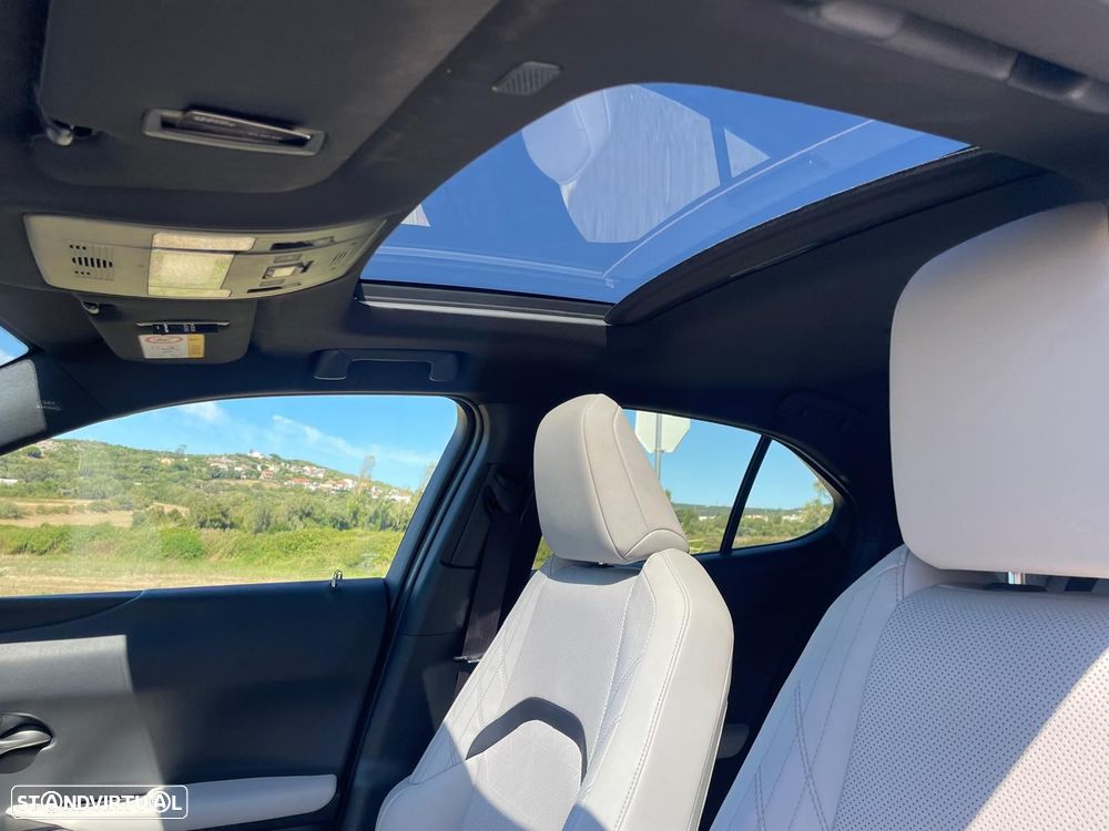 Lexus UX 250h Luxury - 21