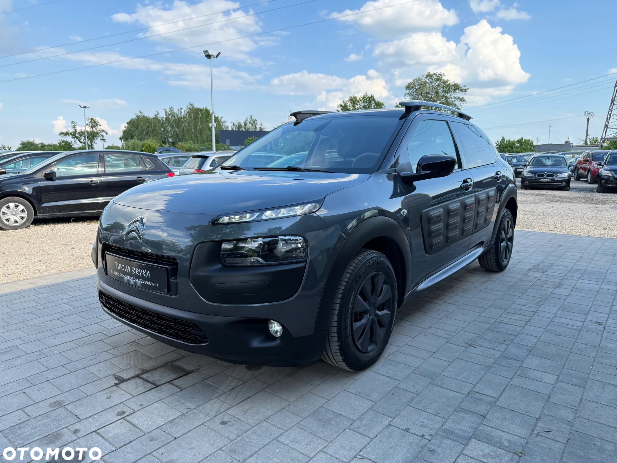 Citroën C4 Cactus BlueHDi 100 Stop&Start Business Class - 12