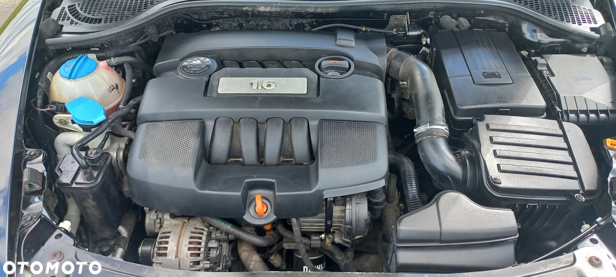 Skoda Octavia 1.6 Ambiente - 8