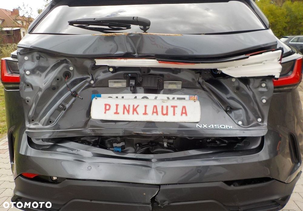 Lexus NX - 15