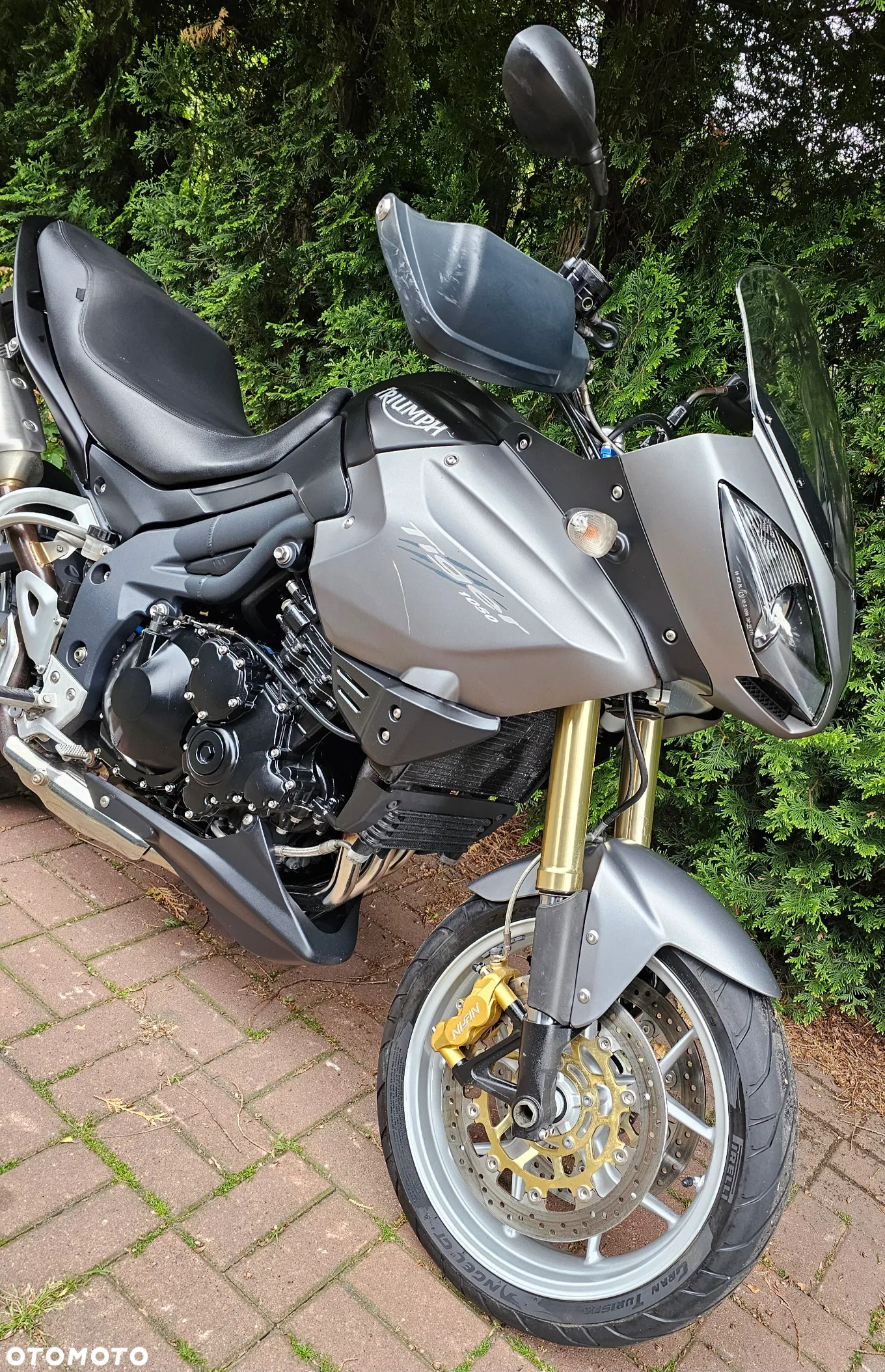 Triumph Tiger - 3