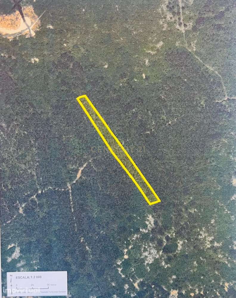 TERRENO RÚSTICO - Minde, Alcanena - Grande imagem: 2/2