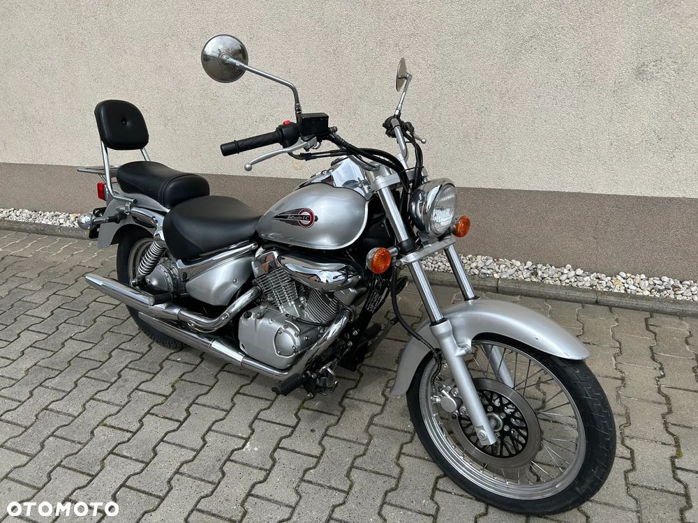 Suzuki Intruder - 9