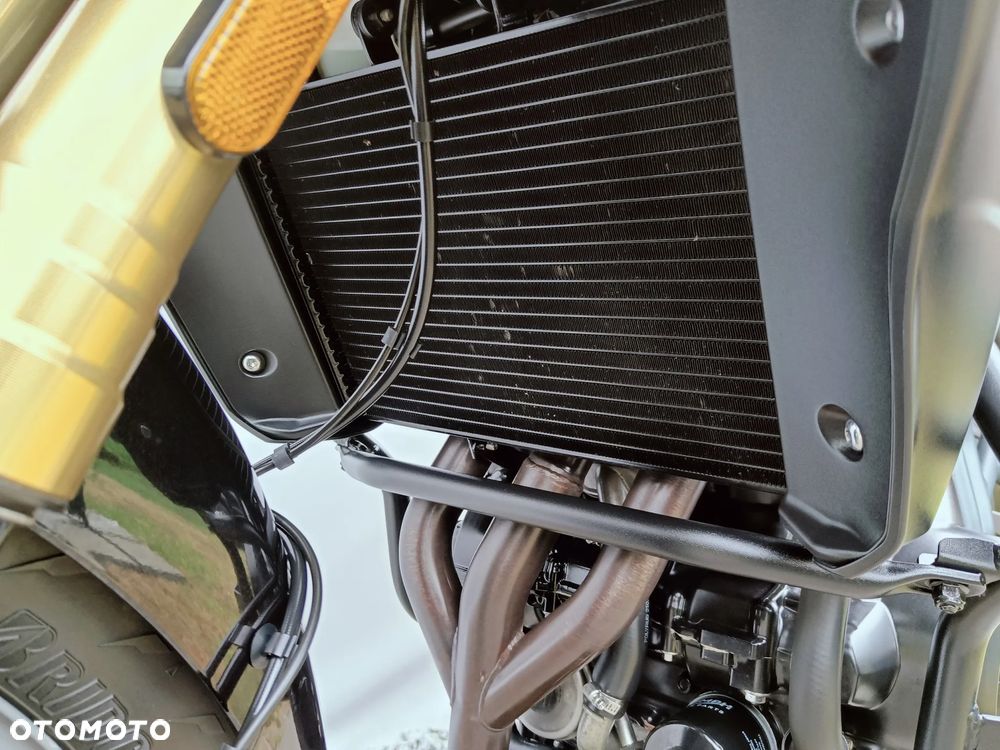 Triumph Tiger - 17