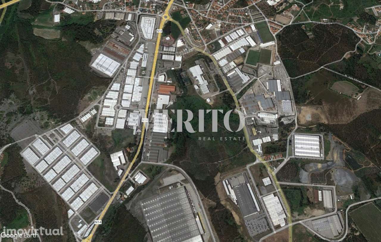 Terreno com 9.999M2, para construção de espaço de atividades económica - Grande imagem: 4/5