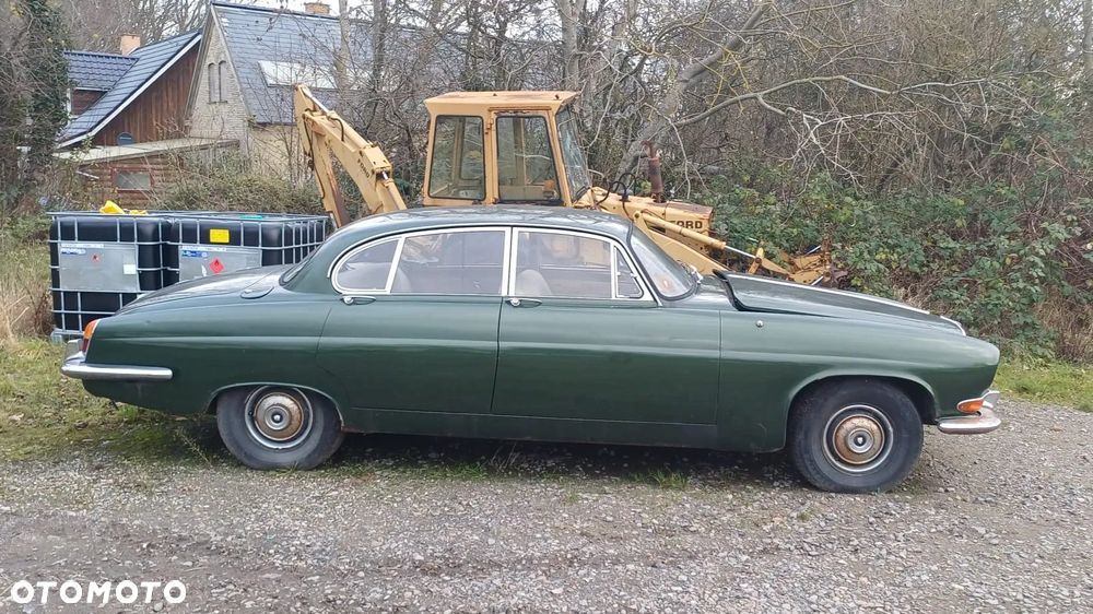 Jaguar Inny - 1