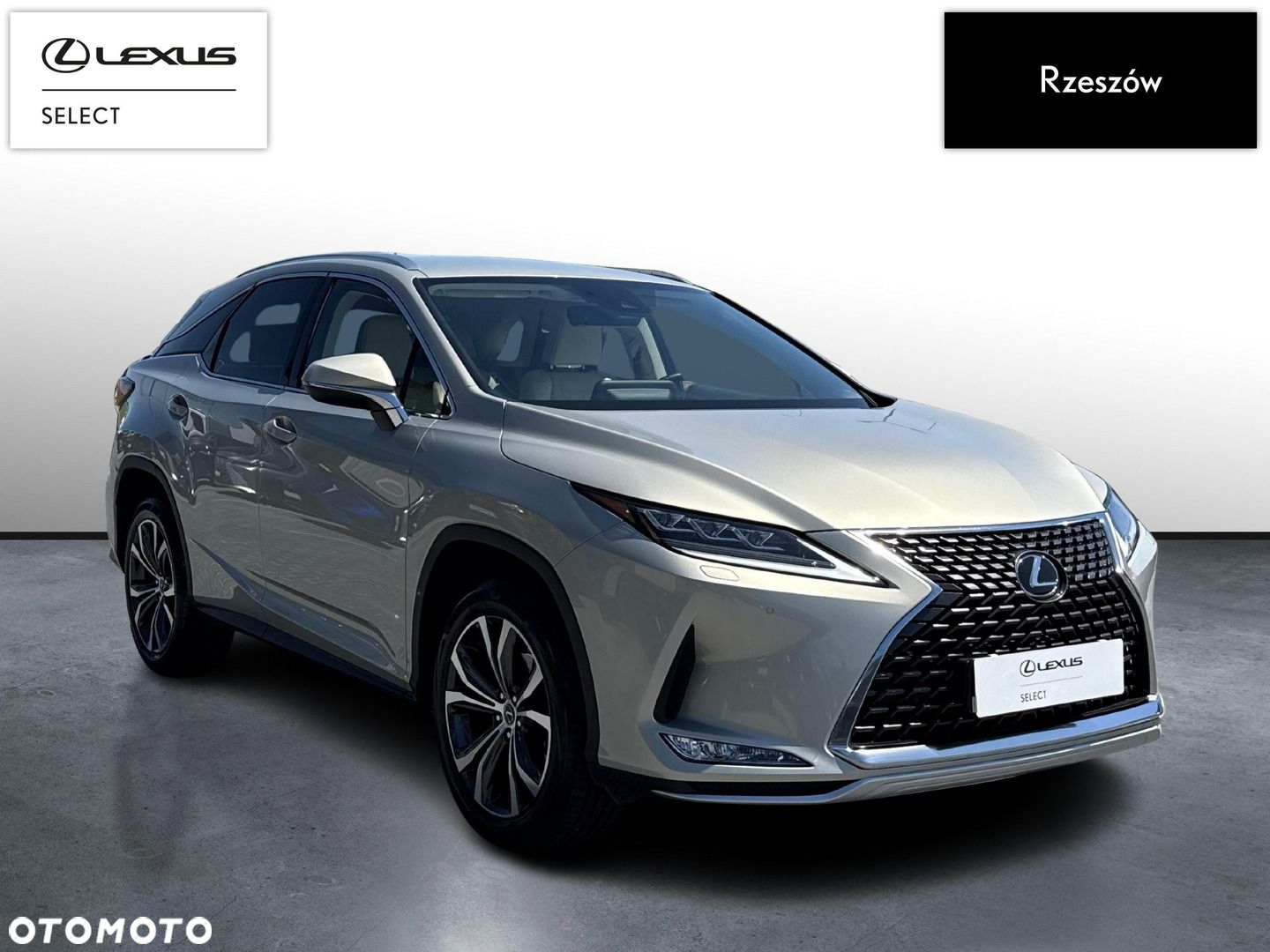 Lexus RX 300 Prestige - 7