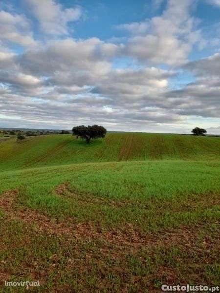 Monte Alentejano - Grande imagem: 5/9