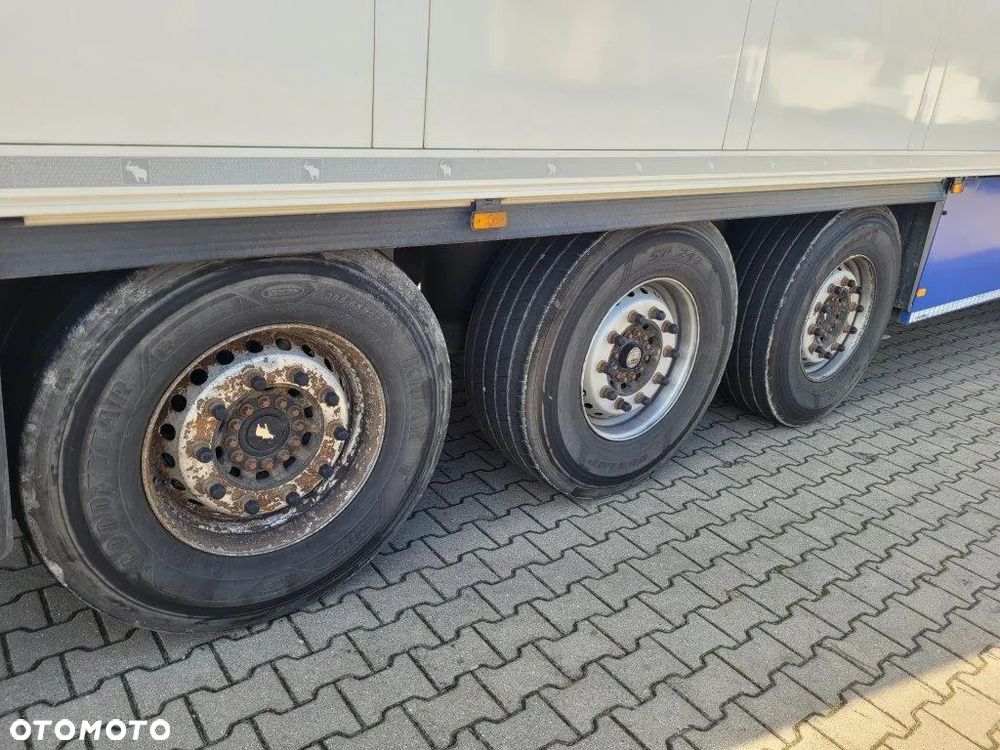 Schmitz Cargobull Chłodnia / Thermo King 300/ Kwiatówka/TIP 566319 - 12