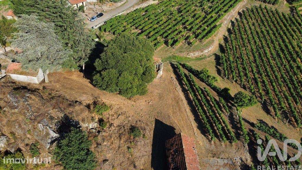 Quinta rural T2 em Figueiró de 136 m2 - Grande imagem: 5/25