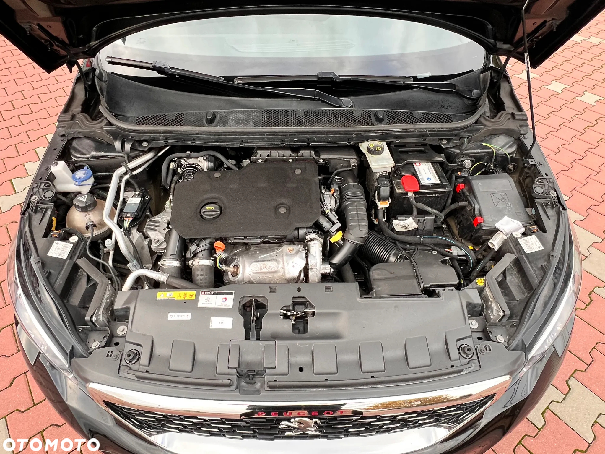 Peugeot 308 SW 1.5 BlueHDi GT Pack S&S EAT8 - 35