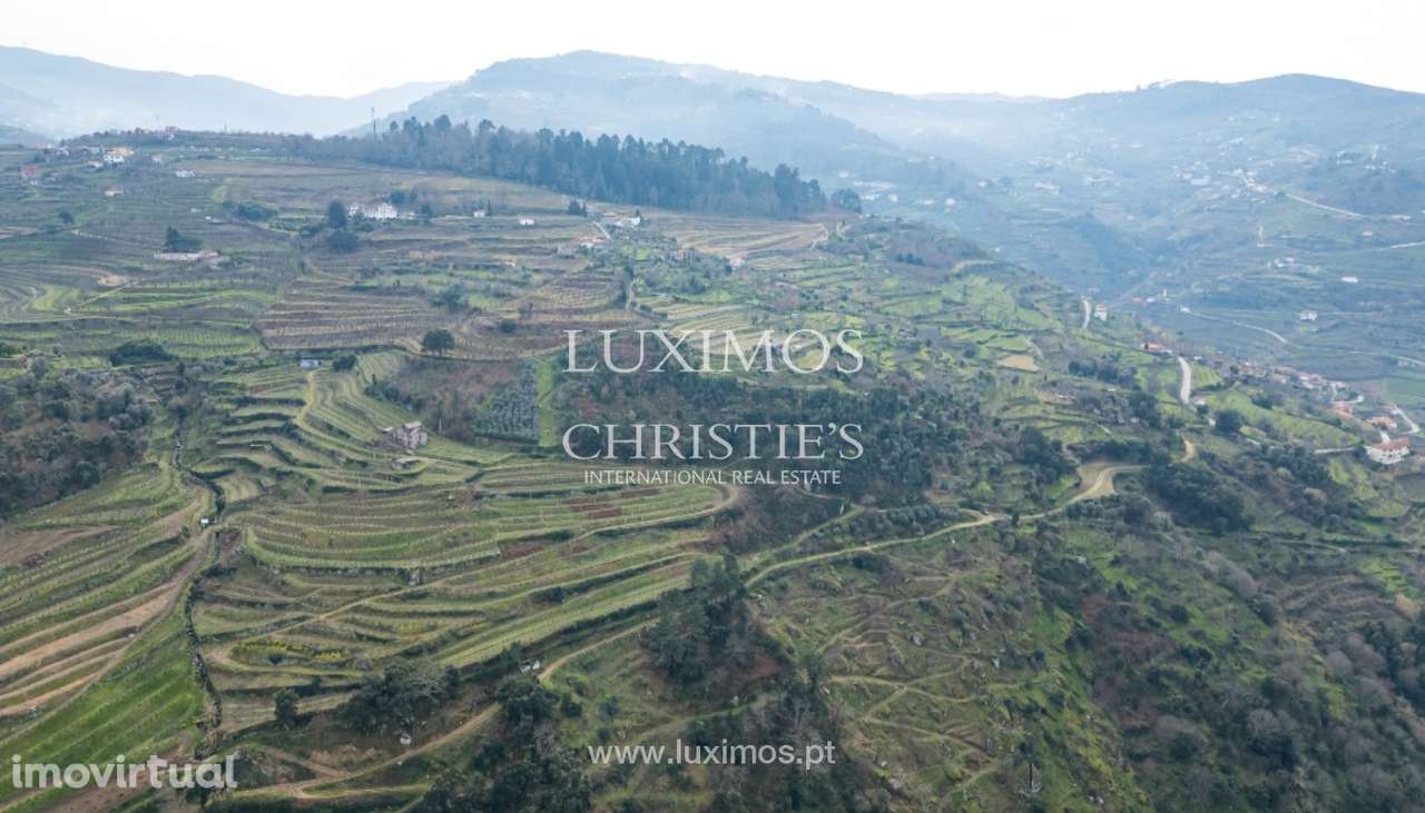 Fantástica quinta à venda no Douro Valley, Resende - Grande imagem: 3/25