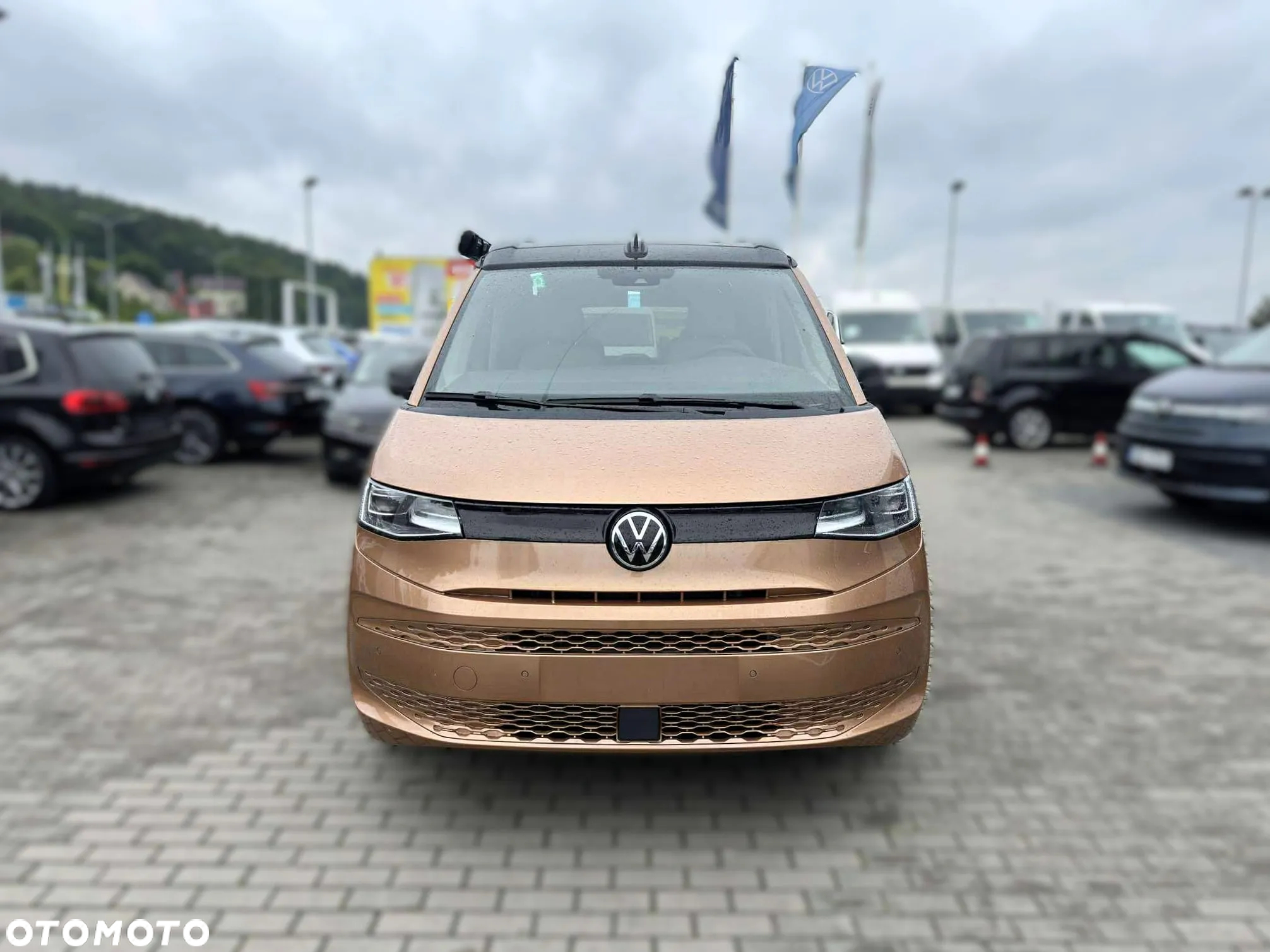 Volkswagen California - 8