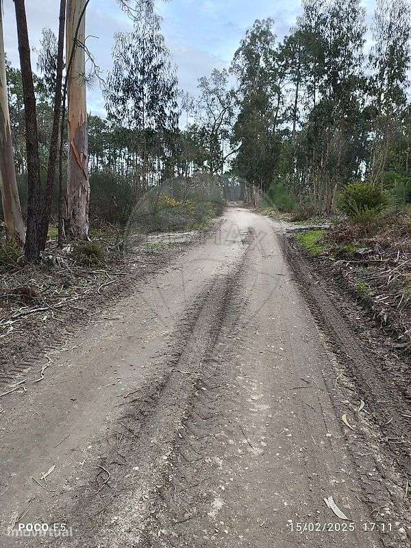 Terreno  para venda - Grande imagem: 2/10