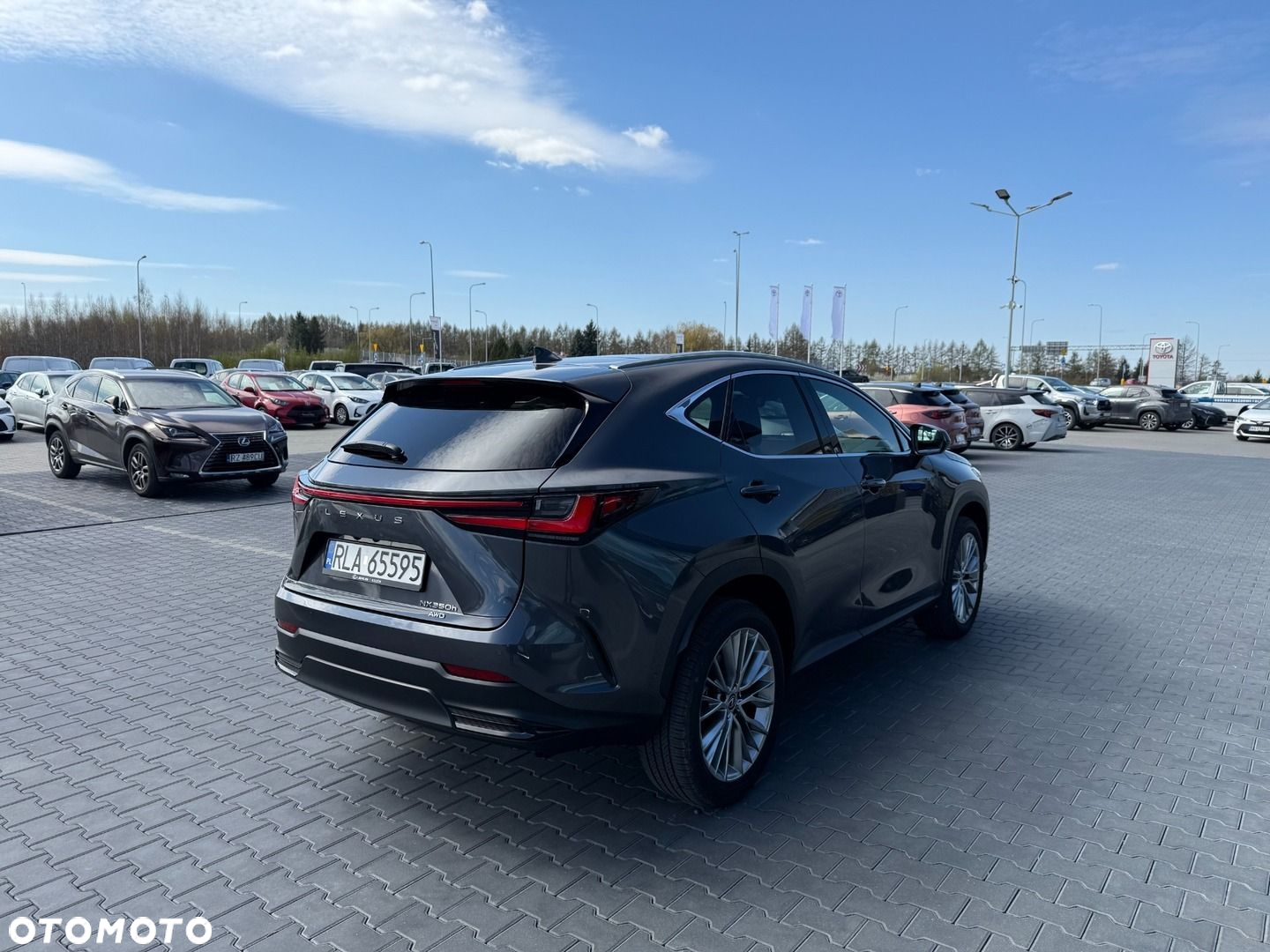 Lexus NX - 5