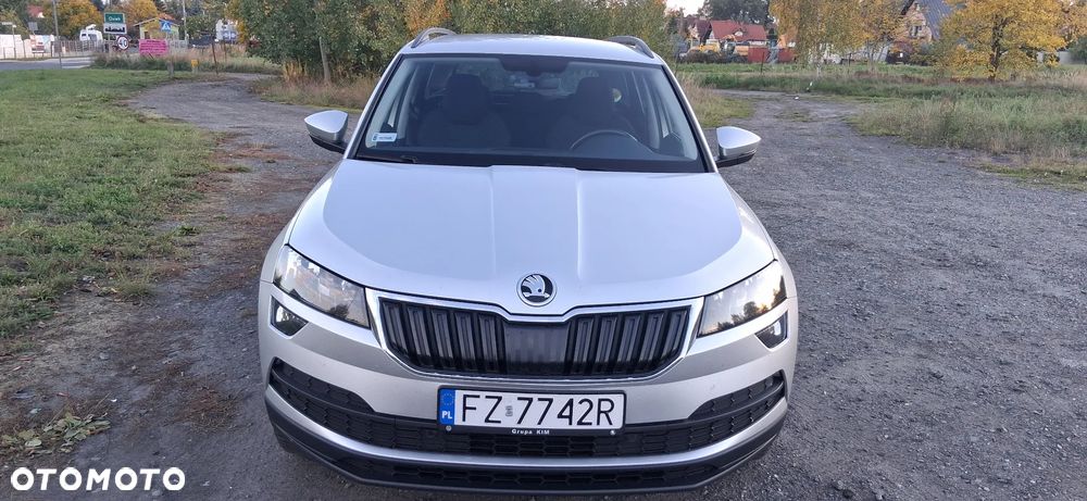 Skoda Karoq 2019 photo 2