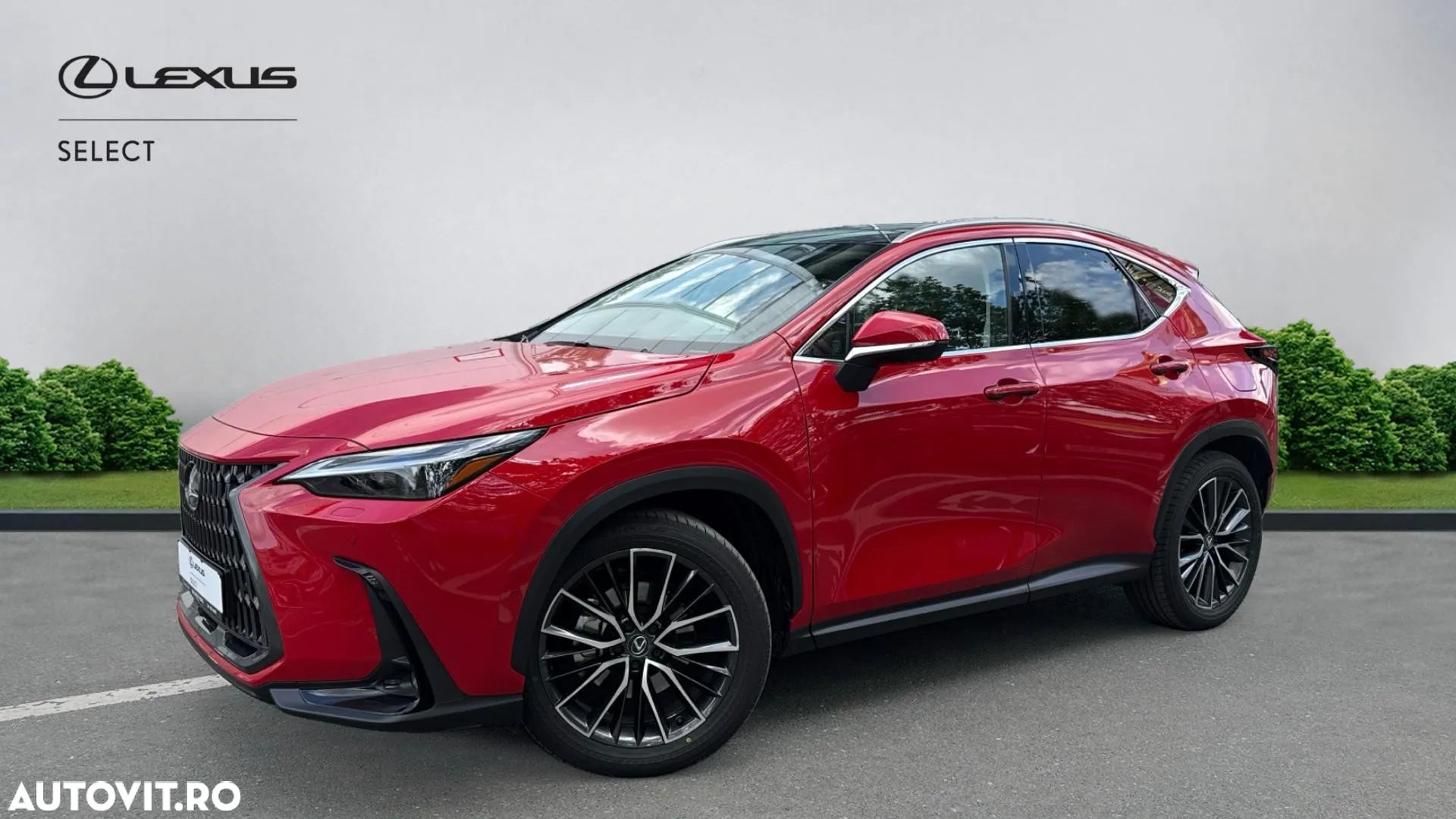 Lexus Seria NX 350h AWD CVT HEV Luxury - 1