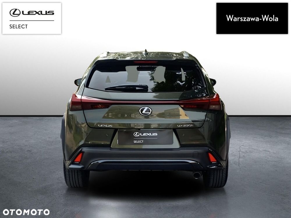 Lexus UX 250h GPF F Sport Design 2WD - 6