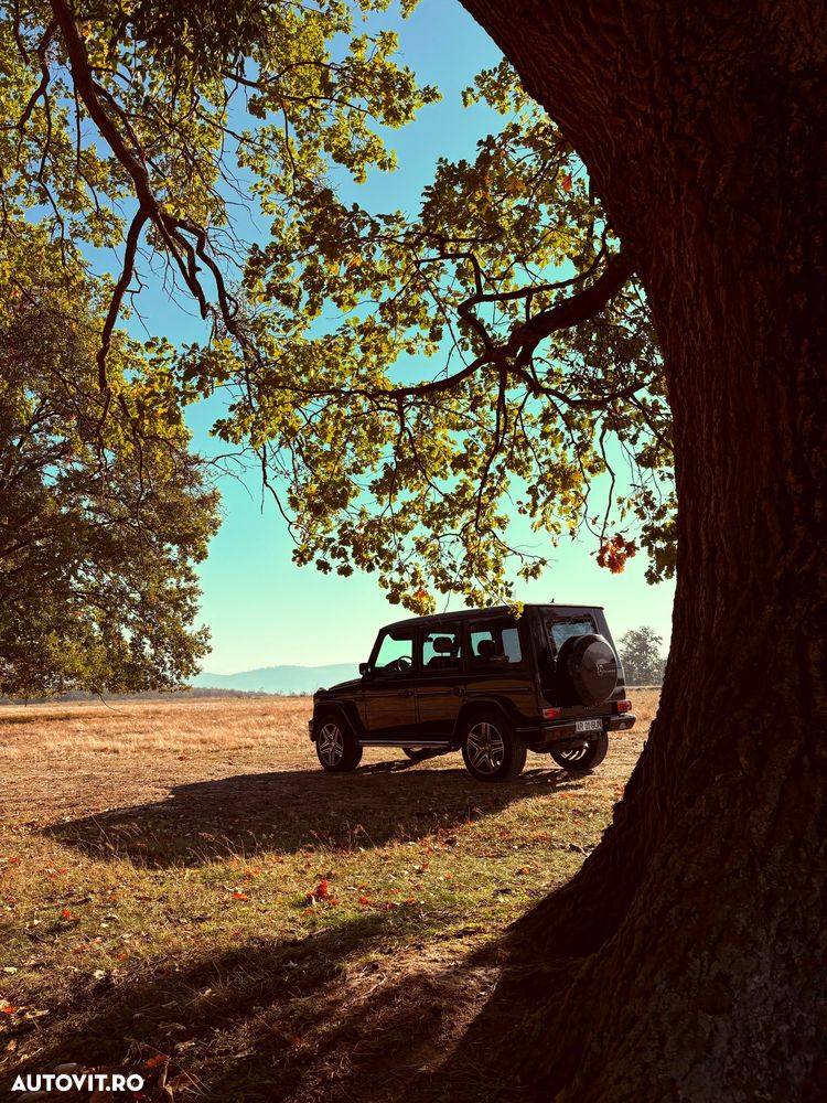 Mercedes-Benz G - 6