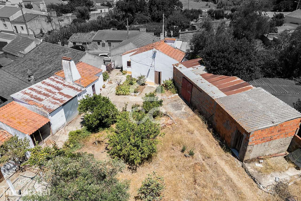Quintinha de 1 875 m²  c/ Moradia T1+1 e Anexos Agrícolas em Vila Nova - Grande imagem: 2/60