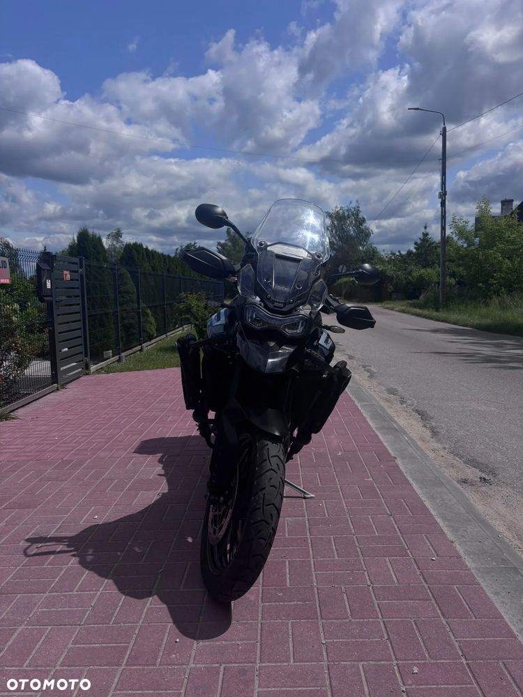 Triumph Tiger - 1