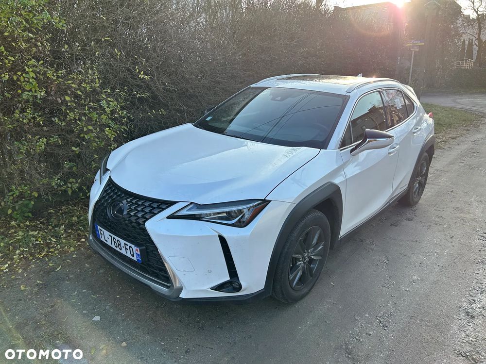 Lexus UX 200 Prestige 2WD - 2