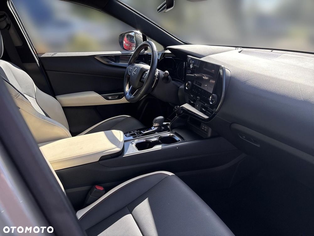 Lexus NX - 21