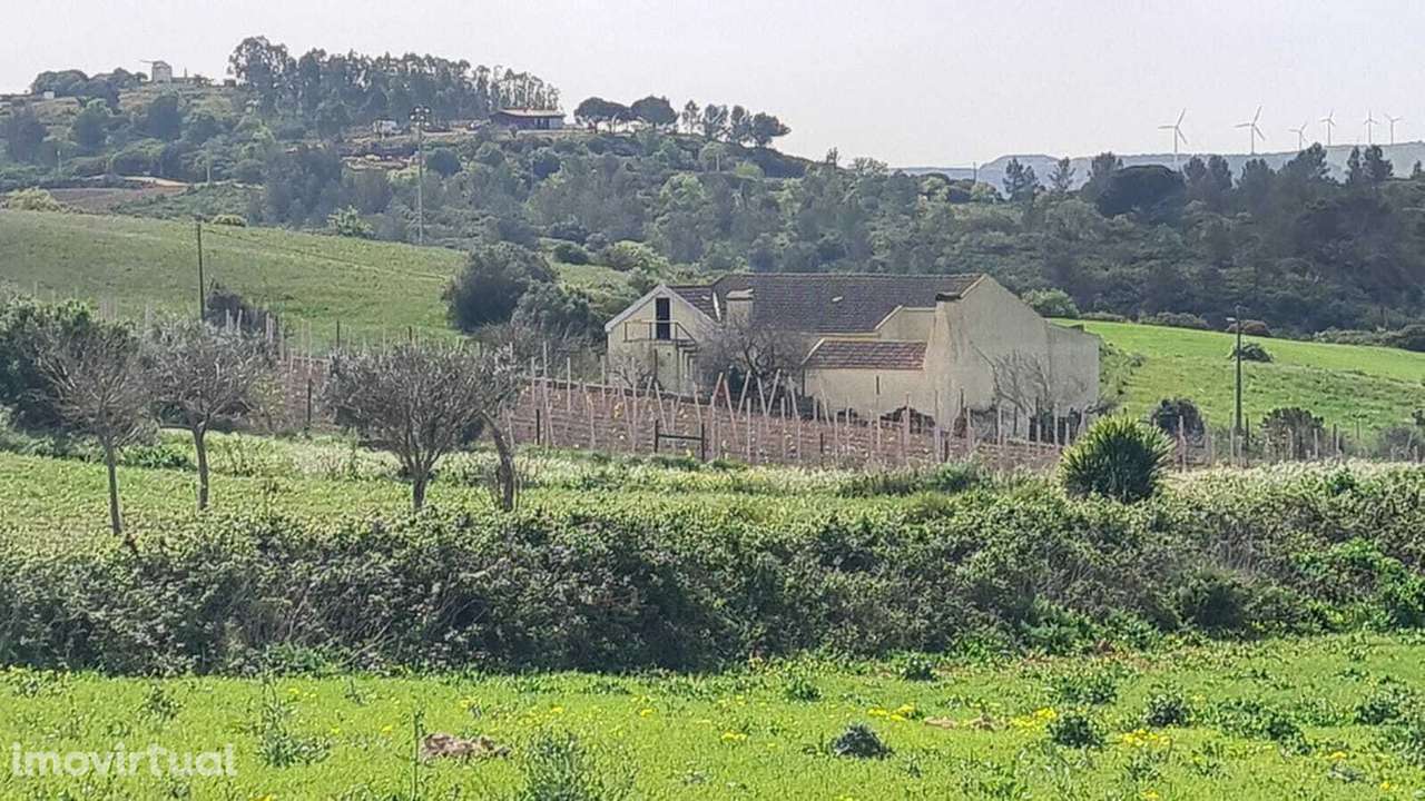 Quintinha a 10 minutos de Arruda dos Vinhos - Grande imagem: 4/22