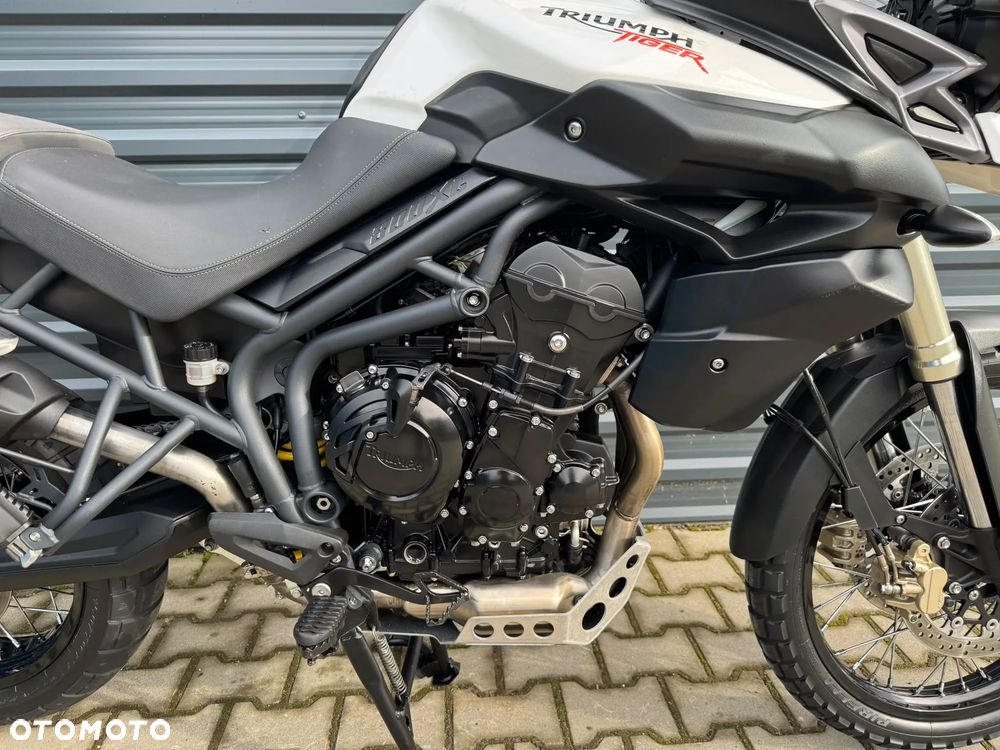 Triumph Tiger - 14