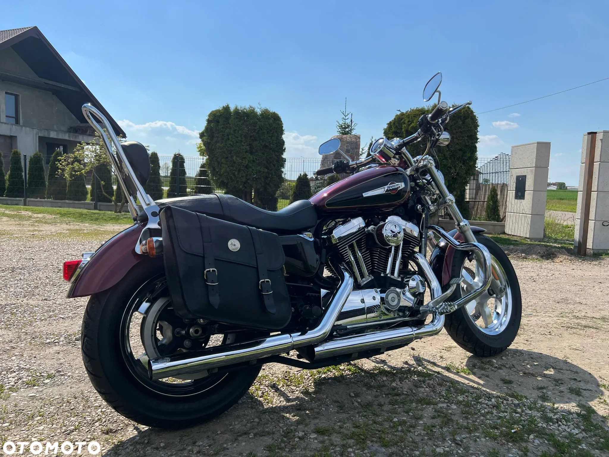 Harley-Davidson Sportster Custom 1200C - 5