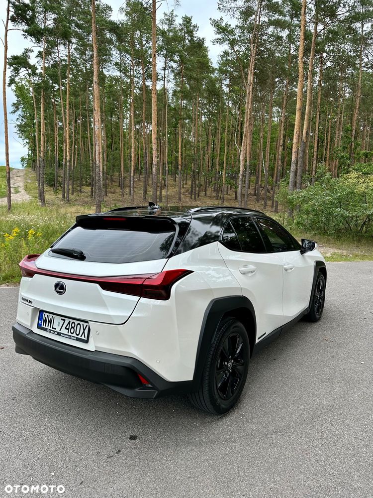 Lexus UX 250h Prestige 2WD - 16