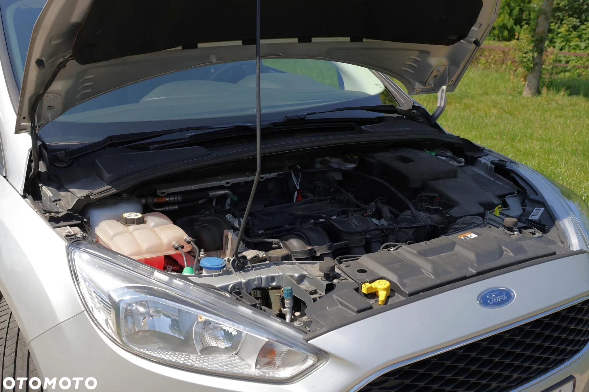 Ford Focus 1.6 Trend - 14