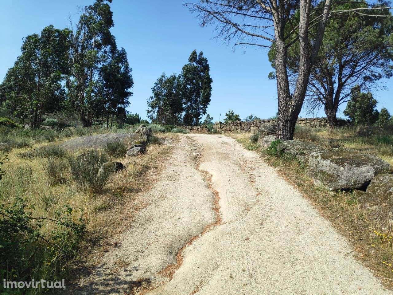 Fantástica Quinta com 3 Hectares - Grande imagem: 3/24