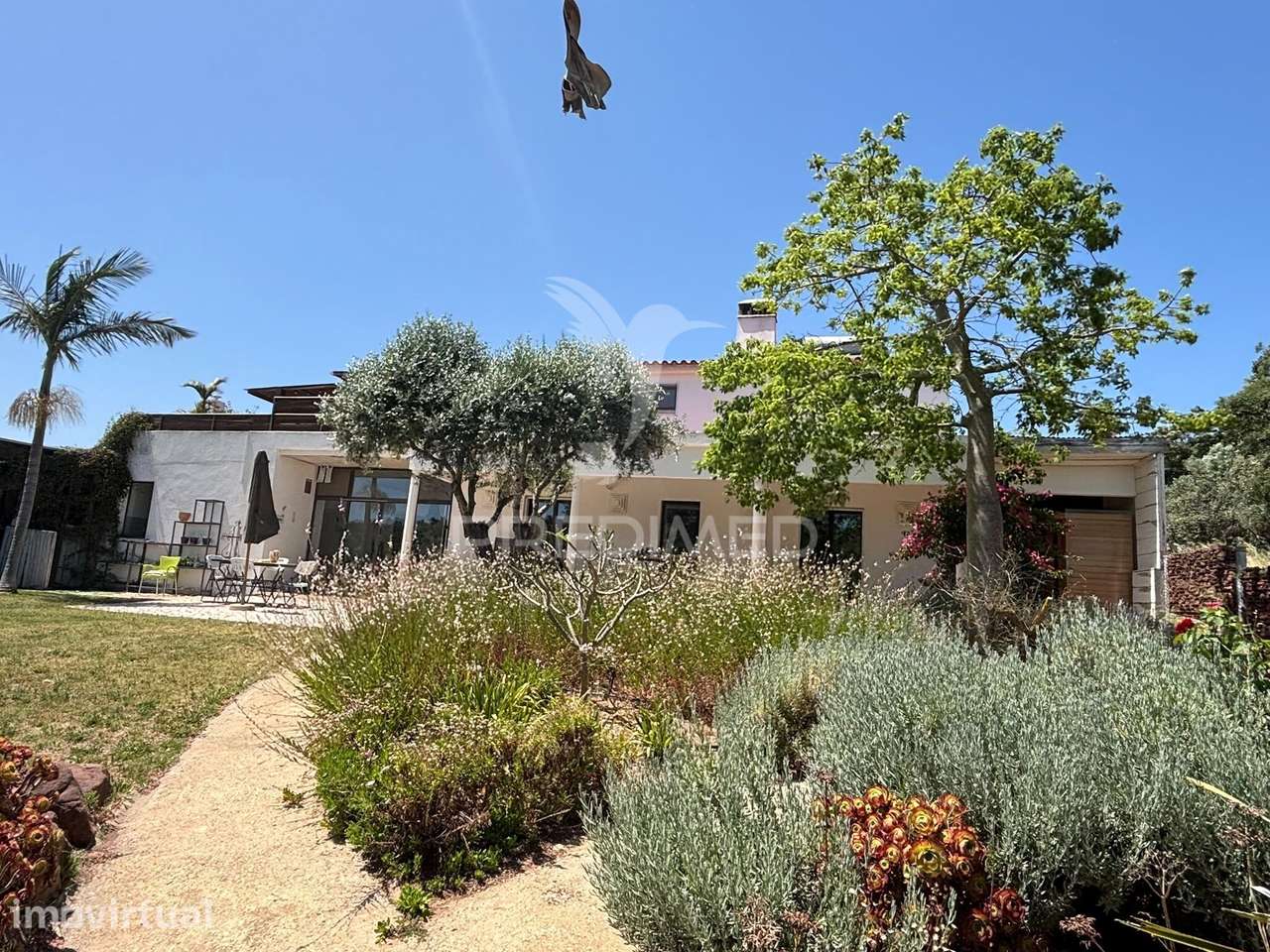 Oportunidade Única de Investimento no Algarve | Negócio de Turismo... - Grande imagem: 5/30