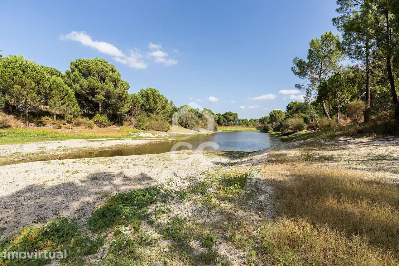Herdade de 71,7 ha c/ Barragem e Casas de Apoio Agrícola | Mora - Grande imagem: 3/51
