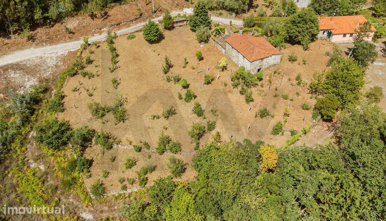 Moradia em Pedra com Terreno Murado de 2.814 m2 e Potencial Urbano – C - Grande imagem: 3/24