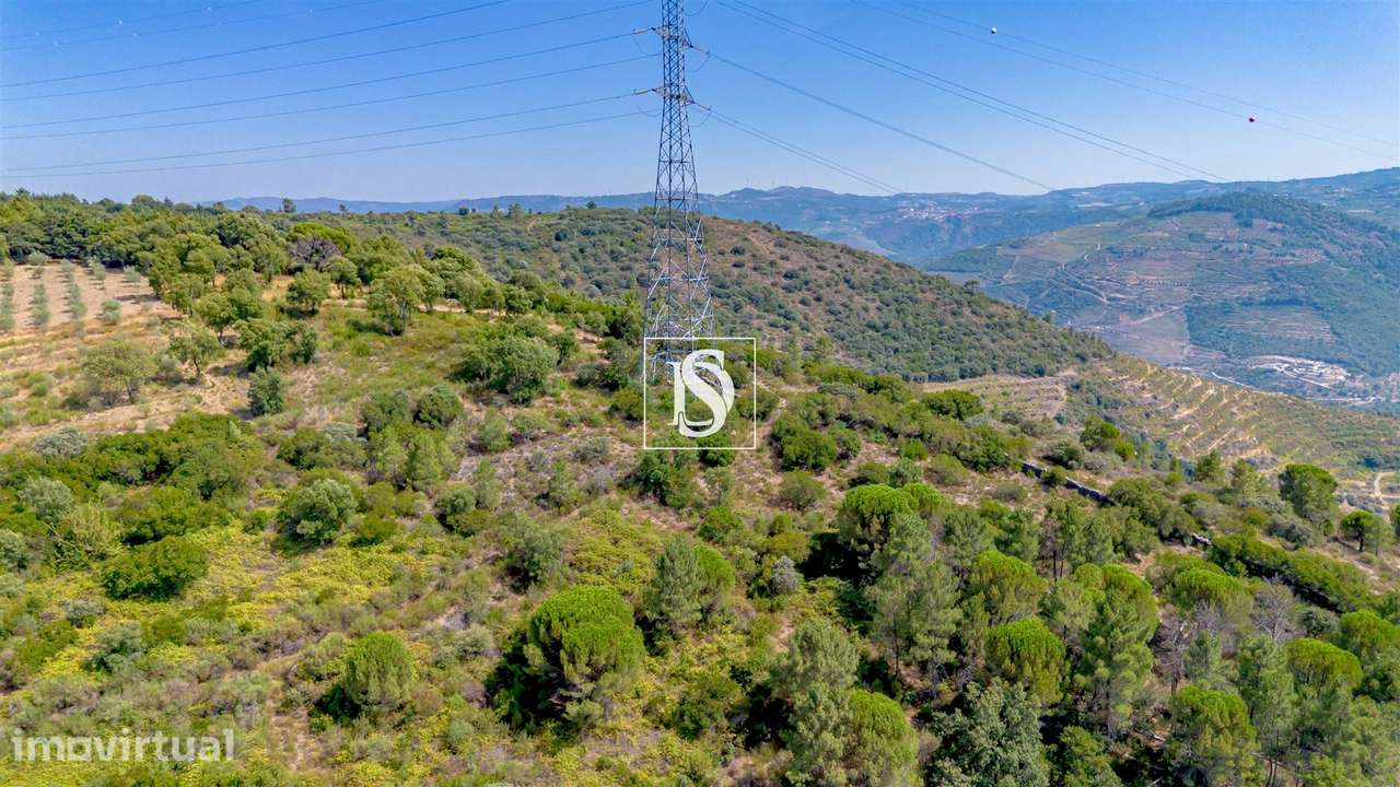 Terreno Rústico  Venda em Poiares e Canelas,Peso da Régua - Grande imagem: 3/14