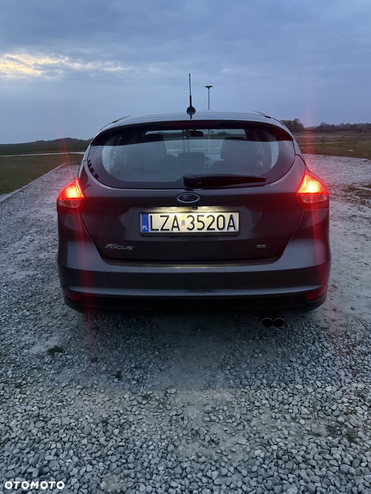 Ford Focus - 16