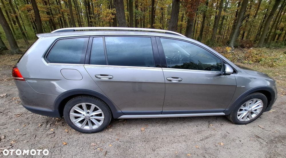 Volkswagen Golf Alltrack 2.0 TDI BMT 4Mot DSG - 7