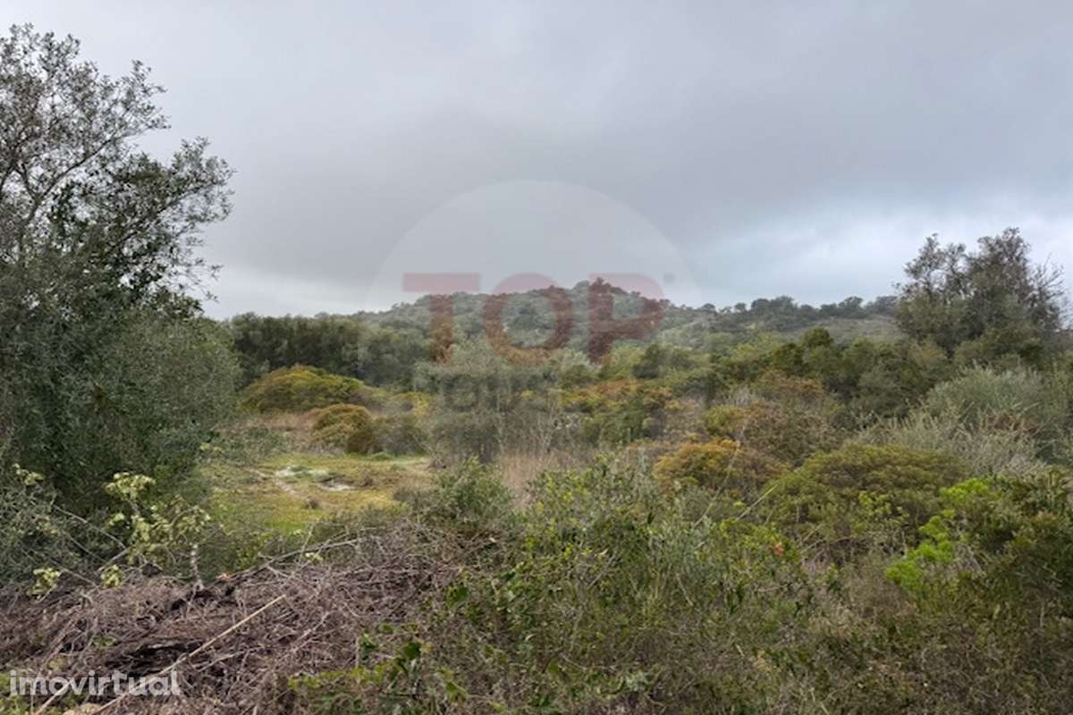 Terreno Rustico em Estoi - Grande imagem: 2/7