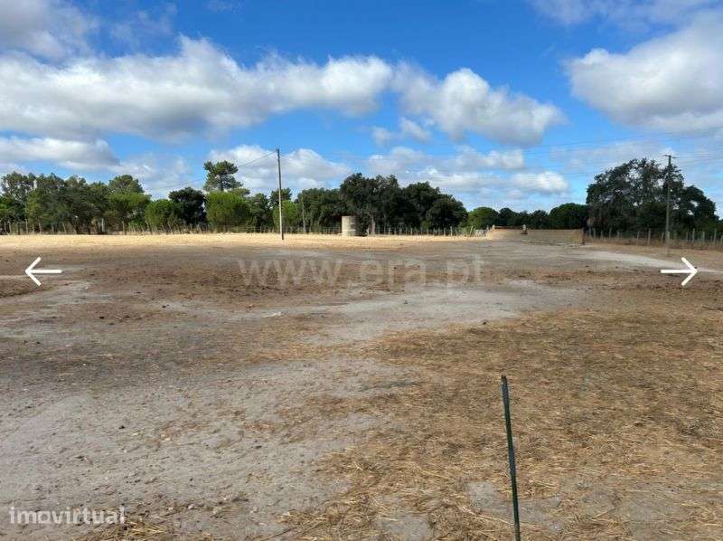 Terreno Rústico 2,7 ha - Coruche / Santarém - Grande imagem: 2/8