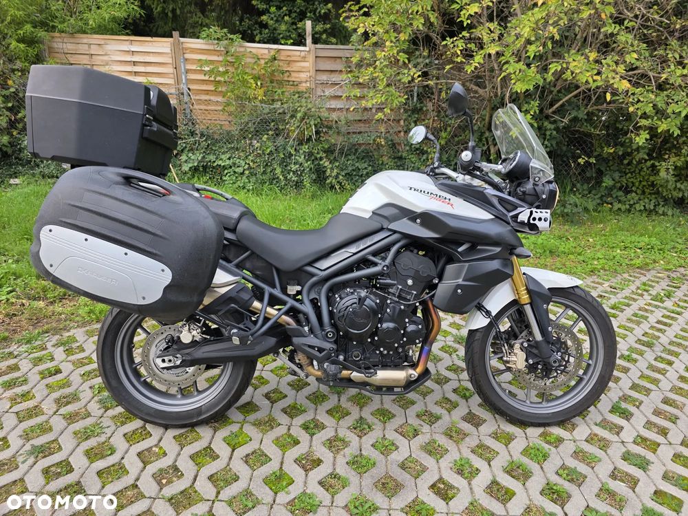 Triumph Tiger - 16