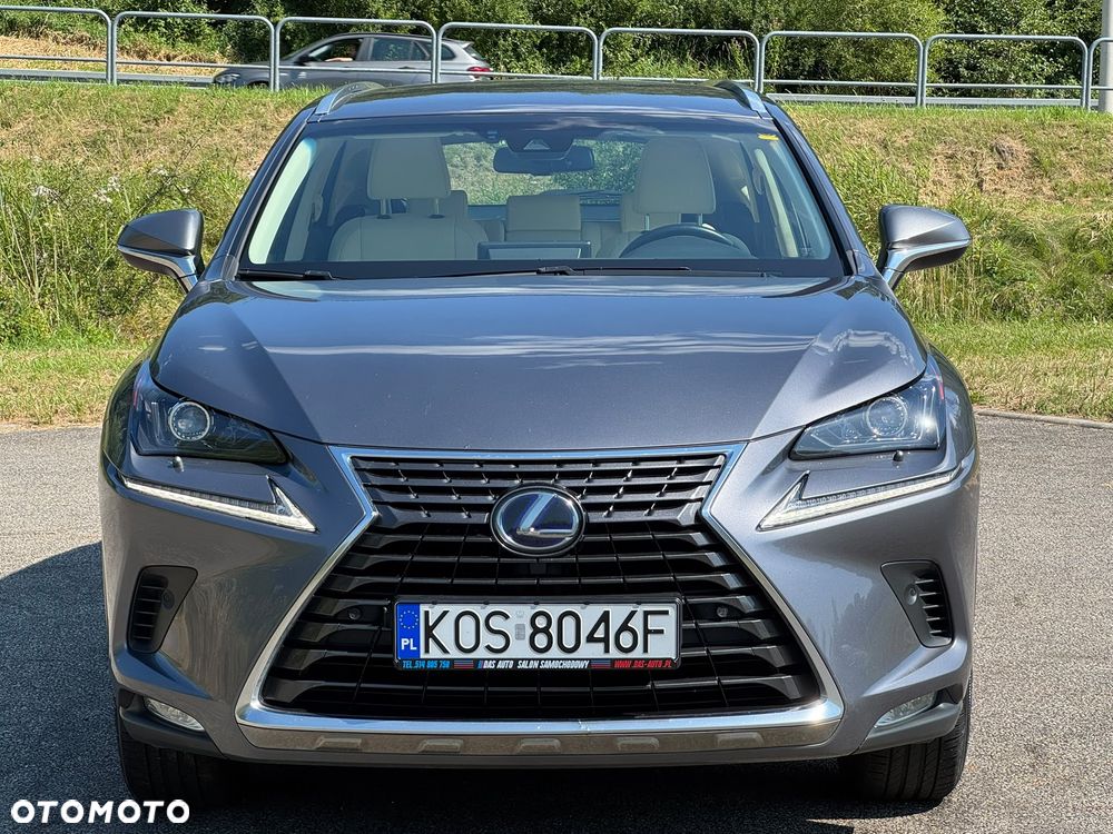 Lexus NX 300h Prestige AWD - 5