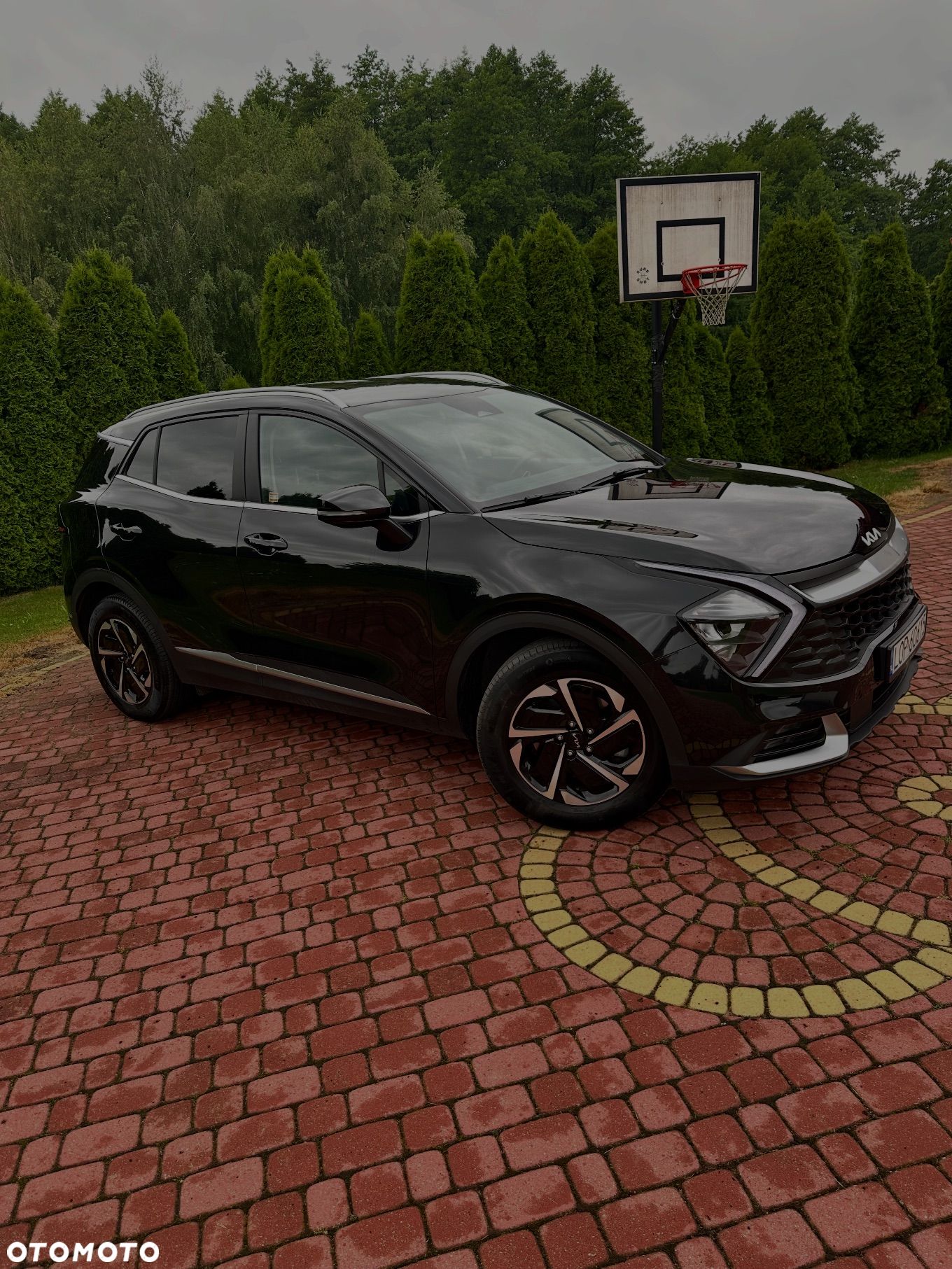 Kia Sportage 1.6 T-GDI HEV L 2WD - 1
