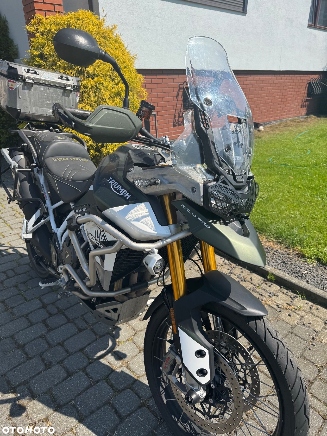 Triumph Tiger