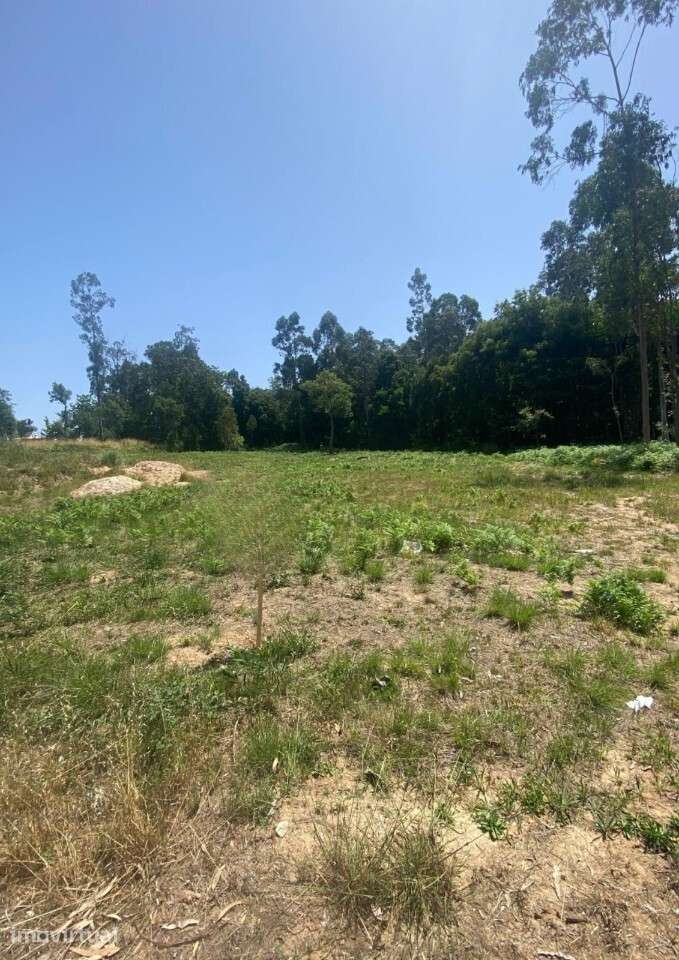 Terreno para Construção em Santa Maria da Feira - Grande imagem: 3/5